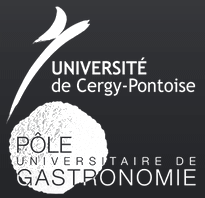 Logo Diplôme Universitaire