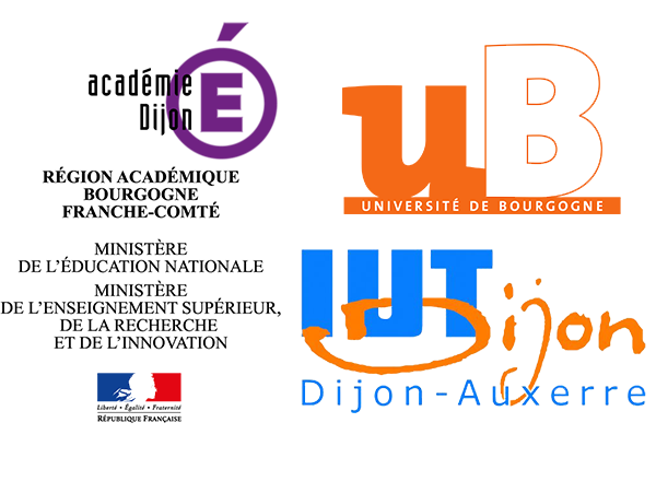 Logo Licence Professionnelle Management et Gestion des Organisations