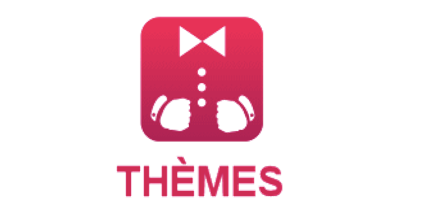 Logo Thèmes des sujets de mercatique BTS option A