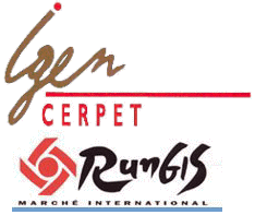 Logo Stages Semmaris Rungis - CERPET