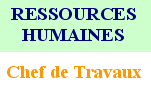 Logo Le Chef de Travaux 