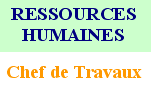 Logo Le Chef de Travaux
