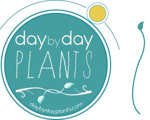 Logo Day by day plants