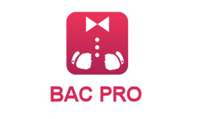Logo 1 Bac Pro