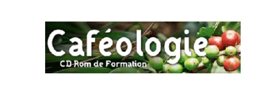Logo Caféologie. Cédérom en ligne sur le café