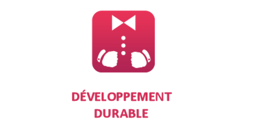 Logo Semaine du développement durable - Lycée de Dinard