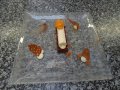 CFD 2016 JP Blin Desserts juniors Est Bazeilles 10
