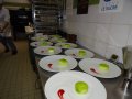 CFD 2016 JP Blin Desserts juniors Nord Beuvry 20