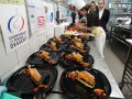 CFD 2018 Finale Sud Ouest 50