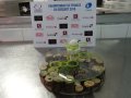 CFD 2018 Finale Sud Ouest 87
