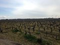 Formation CIVB 2016 B Pinet 101