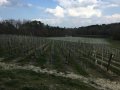 Formation CIVB 2016 J Muzard 25