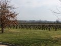 Formation CIVB 2016 O Dacheux 14