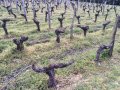 Formation CIVB 2016 O Dacheux 5