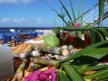 Lpo Hyacinthe Bastaraud Club Med 2 9