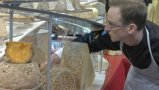 MOF Classe Fromager 2015 25
