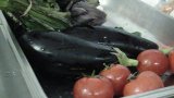 CGM 2018 En cuisine 38