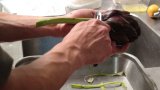 CGM 2018 En cuisine 47