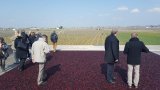 Formation CIVB 2016 Th Millet 56