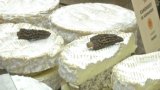 MOF Classe Fromager 2015 49
