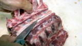 Beauté et précision du geste