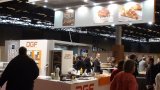 Stand DGF