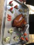 CGM Cuisine 2019 O Quinaut 51