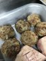 CGM Cuisine 2019 SD 11