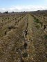 Formation CIVB 2016 B Pinet 104