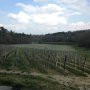 Formation CIVB 2016 B Pinet 66