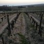 Formation CIVB 2016 B Pinet 74