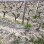 Formation CIVB 2016 B Pinet 76