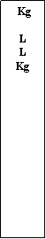 Zone de Texte:  KgLLKg