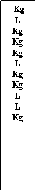 Zone de Texte:  KgLKgKgKgLKgKgLLKg